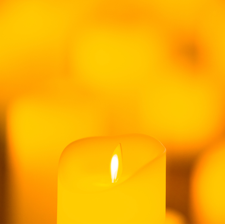 Candlelight Valentine's Day Special