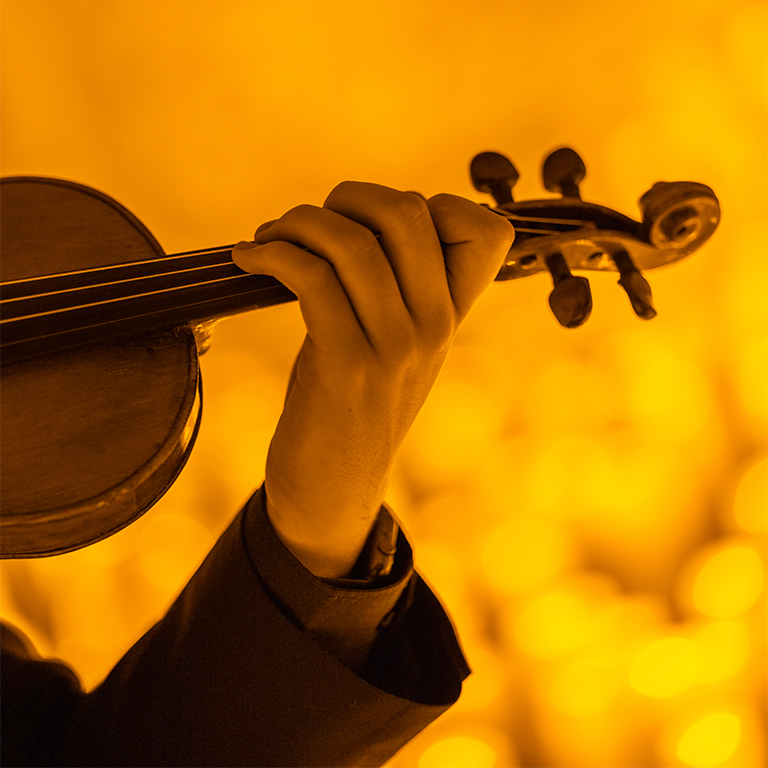 Candlelight Valentine's Day Special